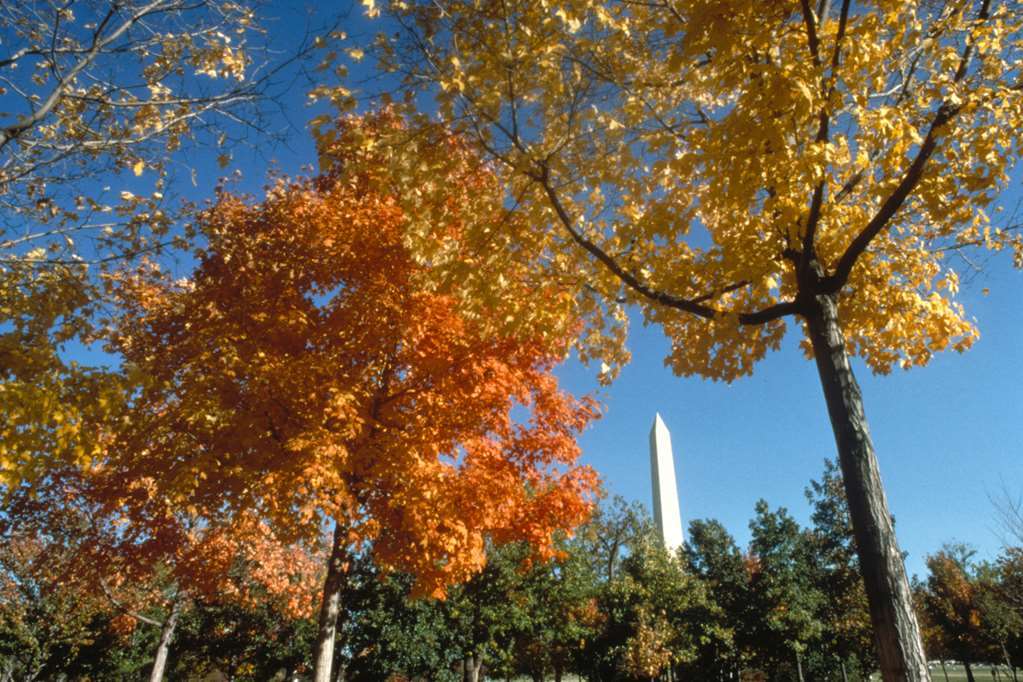 Homewood Suites By Hilton Washington, D.C. Downtown Экстерьер фото